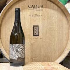 【白】111VINEYARD 111ヴィンヤード　Chardonnay シャルドネ 2024の画像