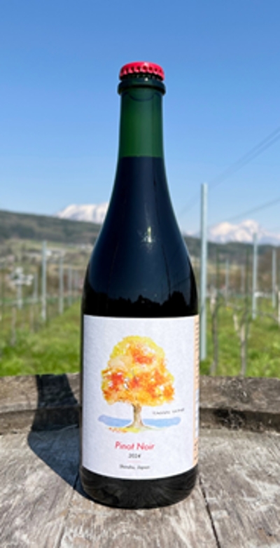 【赤】TAMAI WINE　Pinot Noir ピノノワール 2024の画像