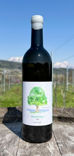 【白】TAMAI WINE　Chardonnay シャルドネ 2024の画像