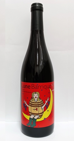 【赤】イルフェボー　サラ リュンヌ バリック 2023の画像