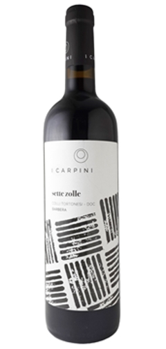 【赤】 カッシーナ イ カルピーニ　バルベーラ 2019の画像