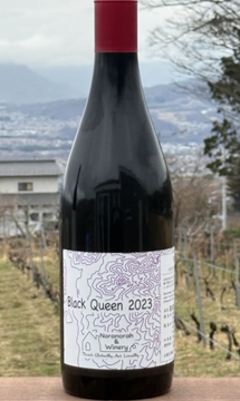 【赤】のらのらふぁーむ　ブラッククイーン 2023の画像