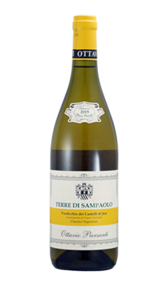 【白】ピエールサンティ　テッレ ディ サンパオロ ヴェルディッキオ クラシコ スペリオーレ 2024の画像