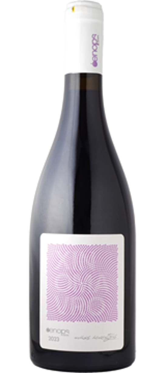 【赤】オエノプス ワインズ　クシノマヴロ  2022画像