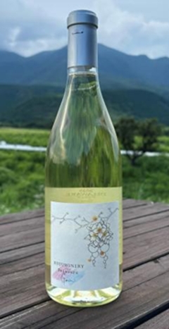 【白】久住ワイナリー　デラウェア Gemini 2024の画像