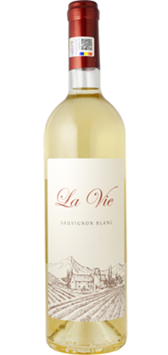 【白】ドメーニレ サハティーニ　ソーヴィニヨンブラン 2024の画像