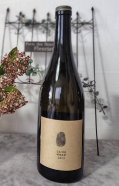 【白】斎藤葡萄酒　ゲヴェルツトラミネール・ピノグリ 2023の画像