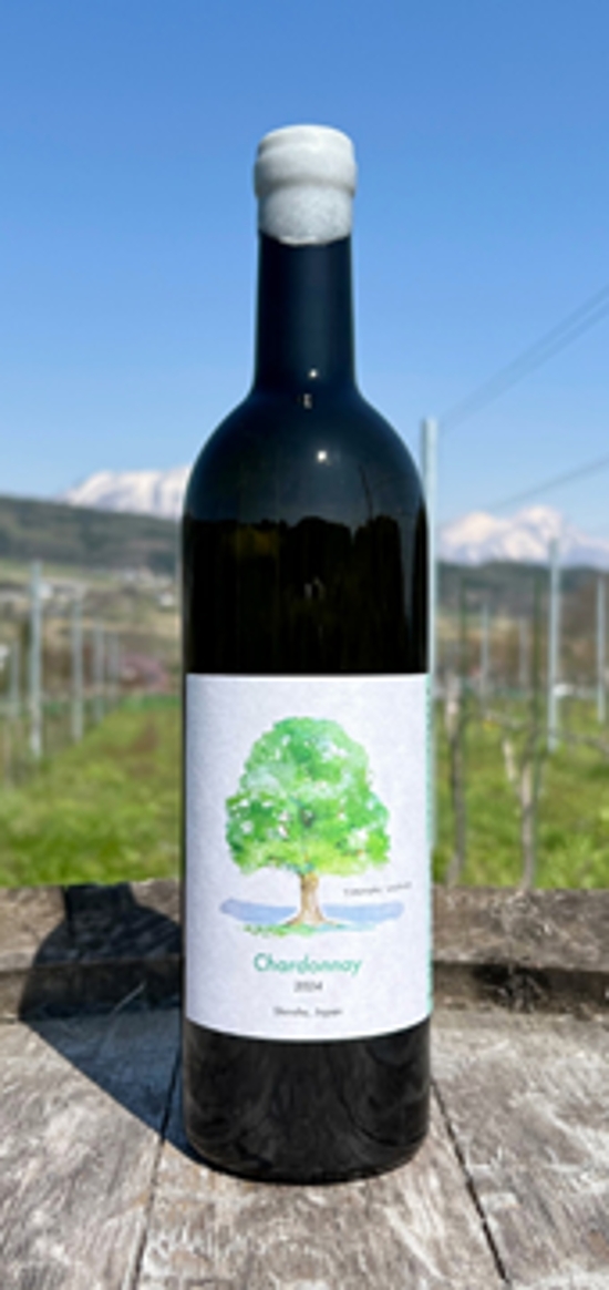 【白】TAMAI WINE　Chardonnay シャルドネ 2025画像