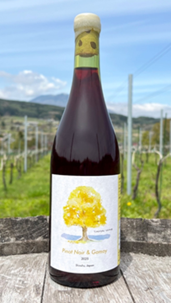【赤】TAMAI WINE　Pinot Noir & Gamay  ピノノワール & ガメイ 2025画像