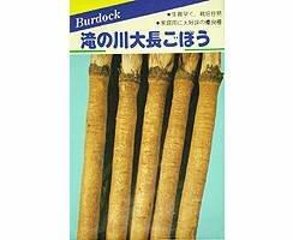 滝の川大長ごぼう秋種1袋6mLの画像