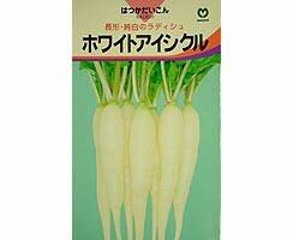 二十日大根秋種ホワイトアイシクル1袋5mLの画像