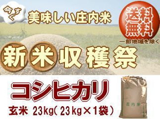 新米収穫祭！6年度山形県産コシヒカリ【玄米】23kg（23kg×1袋）一等米 送料無料 但し北海道・関西・中国・四国・九州は送料800円税込加算 沖縄県は送料3400円税込加算の画像