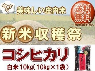 新米収穫祭！6年度山形県産コシヒカリ【白米】10kg×1袋 送料無料 但し北海道・関西・中国・四国・九州は送料800円税込加算 沖縄県は送料3400円税込加算の画像