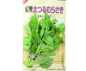 中国野菜太つるむらさき青茎春種1袋8mLの画像