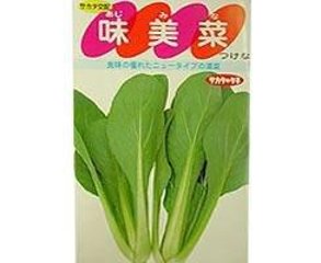 サカタ交配味美菜つけな春種1袋3mLの画像