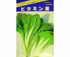 ビタミン菜はものるい春種1袋3mLの画像