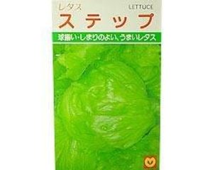 レタス ステップ春種1袋1mLの画像