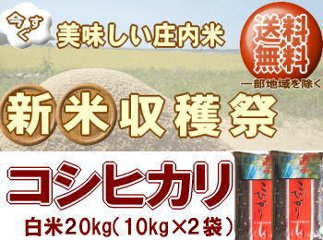 新米収穫祭！6年度山形県産コシヒカリ【白米】20kg（10kg×2袋） 送料無料 但し北海道・関西・中国・四国・九州は送料800円税込加算 沖縄県は送料3400円税込加算の画像