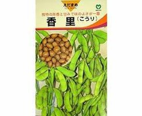 香里枝豆春種1袋30mLの画像