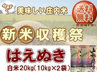 新米収穫祭！6年度山形県産はえぬき【白米】20kg（10kg×2袋） 送料無料 但し北海道・関西・中国・四国・九州は送料800円税込加算 沖縄県は送料3400円税込加算の画像