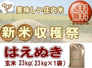 新米収穫祭！6年度山形県産はえぬき【玄米】23kg（23kg×1袋）一等米 送料無料 但し北海道・関西・中国・四国・九州は送料800円税込加算 沖縄県は送料3400円税込加算の画像