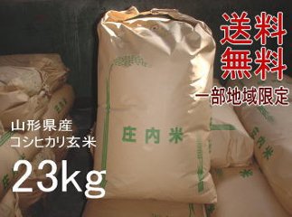 今月おすすめ米SALE！5年度山形県産庄内コシヒカリ【玄米】23kg（23kg×1袋）一等米 送料無料 但し北海道・関西・中国・四国・九州は送料800円加算 沖縄県は送料3400円加算の画像