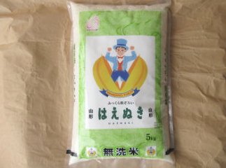 6年度山形県産無洗米はえぬき【白米】5kgの画像