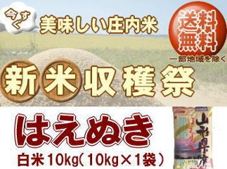 新米収穫祭！6年度山形県産はえぬき【白米】10kg×1袋 送料無料　但し北海道・関西・中国・四国・九州は送料800円税込加算 沖縄県は送料3400円税込加算の画像