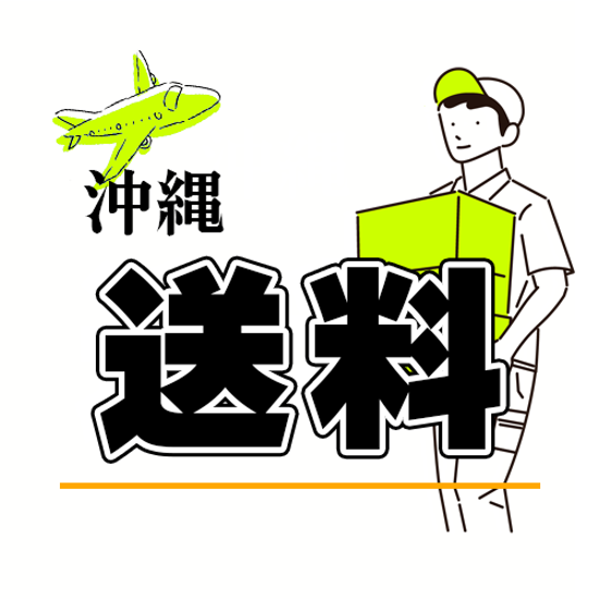 【沖縄】送料※1台につき1個画像