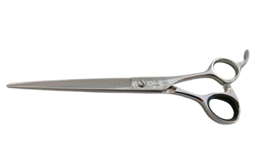 CORELESS　貴龍の画像