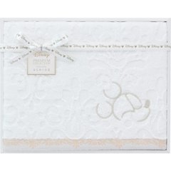 ディズニー　プレミアム　バスタオル WB40876の画像