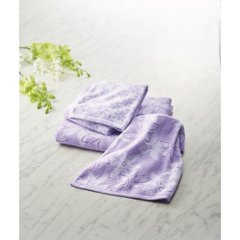 アイザック・バレンチノ　フェイスタオル２枚セット IVJ-21150画像