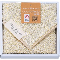 ココチエナ　タオルチーフ（箱入） アイボリー CE40121SY1Pの画像