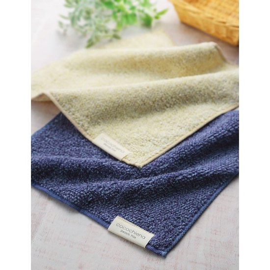 ココチエナ　タオルチーフ（箱入） アイボリー CE40121SY1P画像