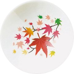 冷感　白平盃ペアセット 紅葉 J0100-016-00の画像