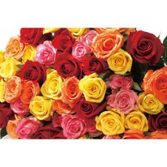 バラの花束　１６本から２０本までのお申し込み ミックス 19MX16-20の画像
