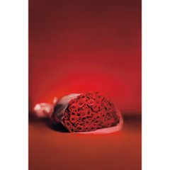 バラの花束　２１本から１００本までのお申し込み レッド 19RD21-100画像