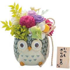 和風しあわせふくろう　いつもありがとう（プリザーブドフラワー） 1778977の画像