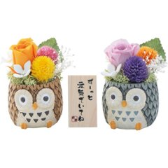 しあわせふくろう２色セット（プリザーブドフラワー） 1778978の画像