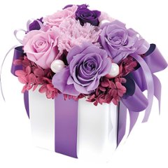 プリザーブドフラワー　ネルケモーナット ncr-26-pr-nelkeの画像