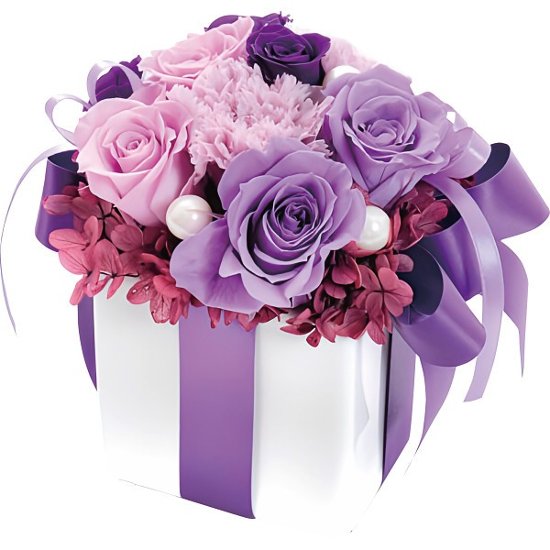 プリザーブドフラワー　ネルケモーナット ncr-26-pr-nelke画像