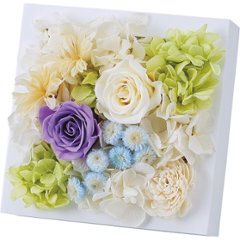 プリザーブドウォールフラワー（スクエア） パープル ncr-wallpri02-puの画像