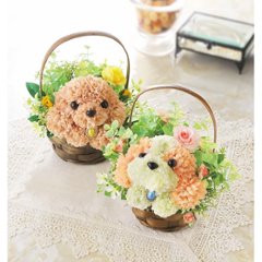 フラワーパピー トイプードル 1000132672 画像