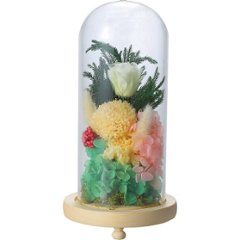 お供えガラスドームアレンジメント 羽衣 C20030Lの画像