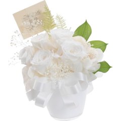 プリザーブド仏花　白蓮 ncr-25-bk03の画像