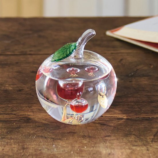 ガラスフロート温度計　りんご 333-218画像