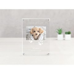 うちの子記念日　アクリルたてがた（お仕立券） P-CA10Tの画像