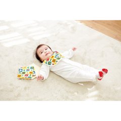 ソックスギフトボックス（はらぺこあおむし） ドット Rｰ231005画像