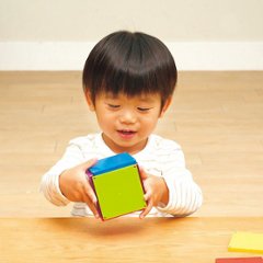 ピープル　ピタゴラスＢＡＳＩＣ　知育いっぱい！きほんボックス PGS-149画像