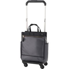 ソエルテ　お買い物キャリー グレー 35987-09の画像